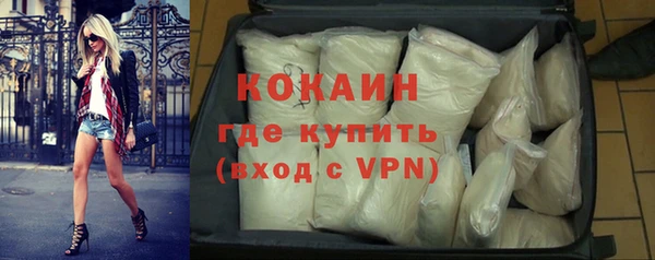 дживик Горняк