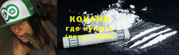 дживик Горняк