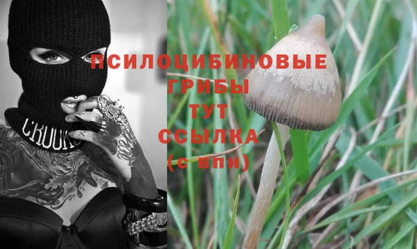 дживик Горняк