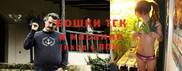 дживик Горняк